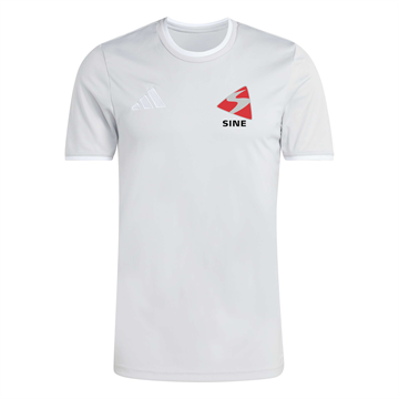 Ent26 T-shirt Grå